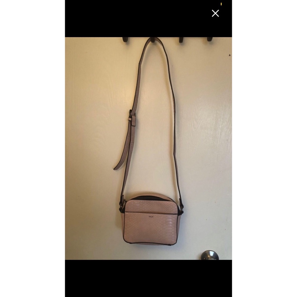 🌈2/50🌈 CO-LAB snakeskin bag